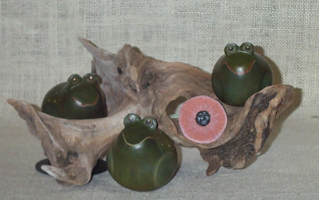 Frogs on a Log