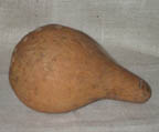 Gourd1