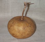 Gourd2